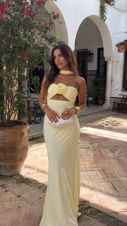 Pastel Yellow Floral Print Dress